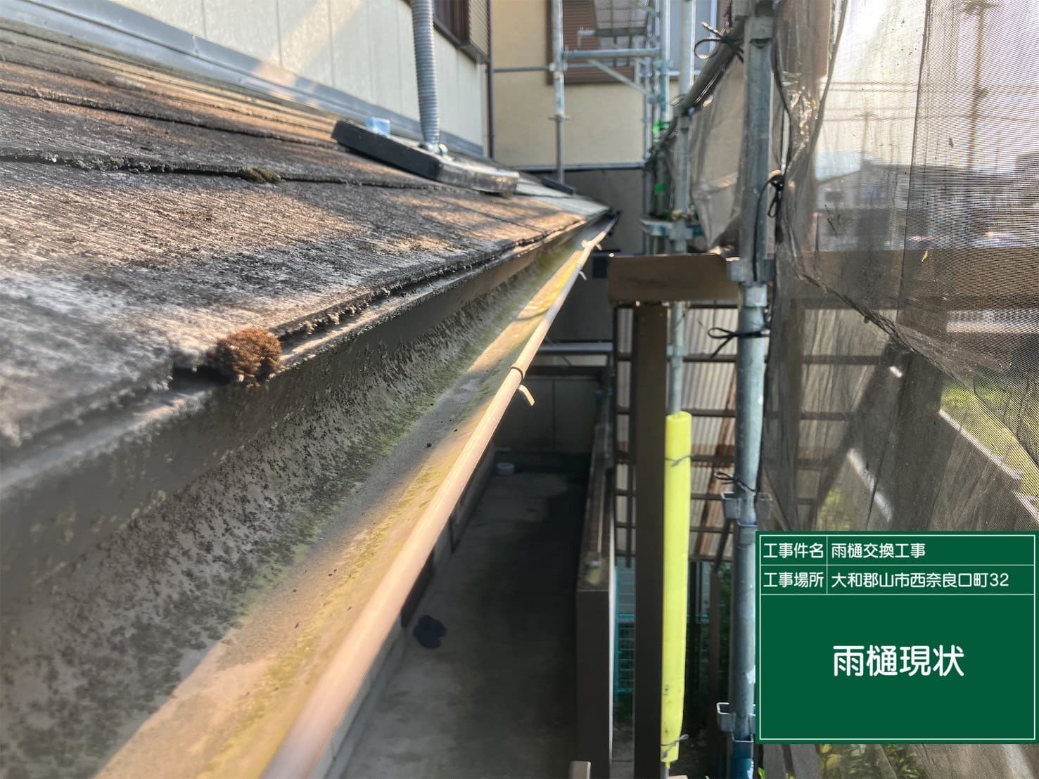 雨樋修繕の施工前